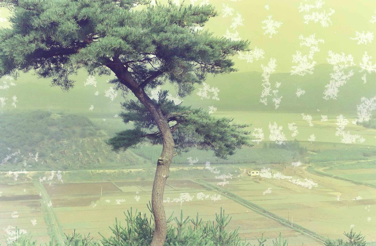 논