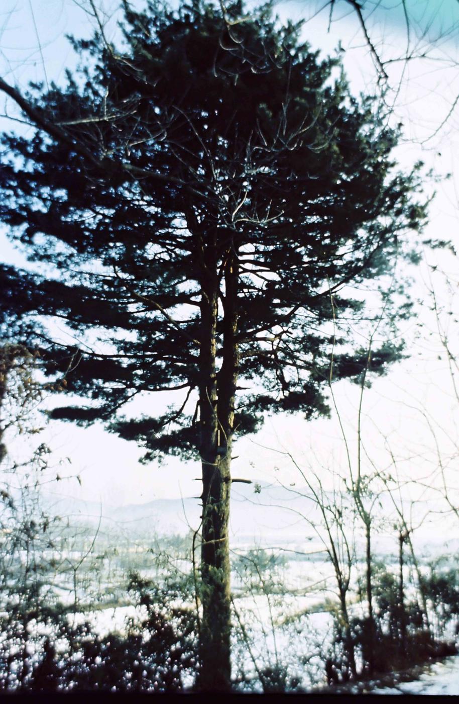 풍경