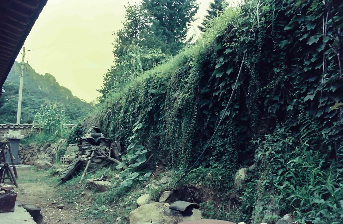 풍경