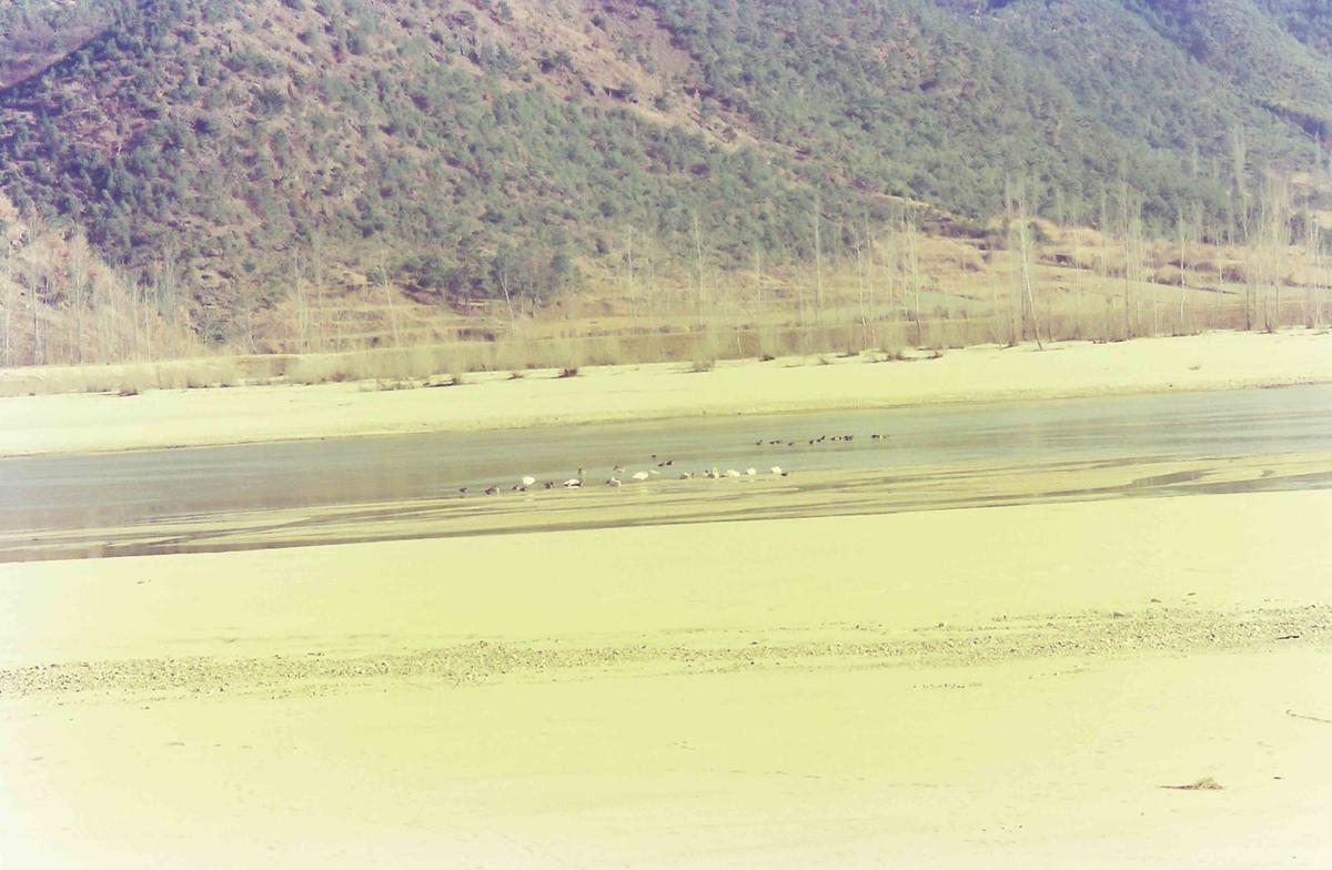 풍경
