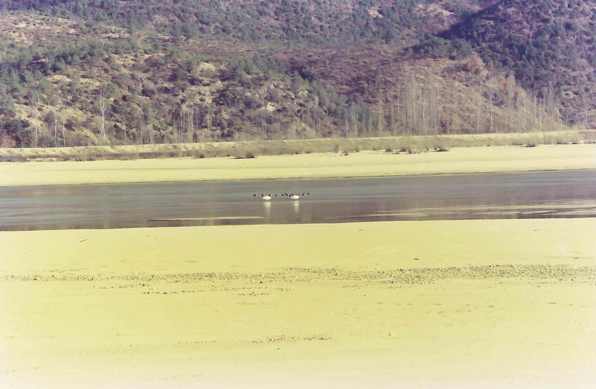 풍경