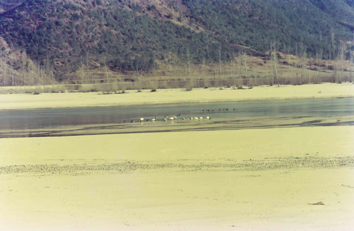 풍경