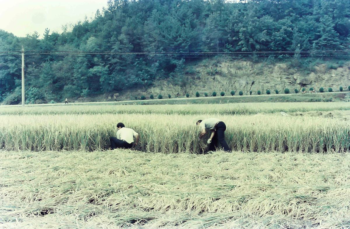 현장방문