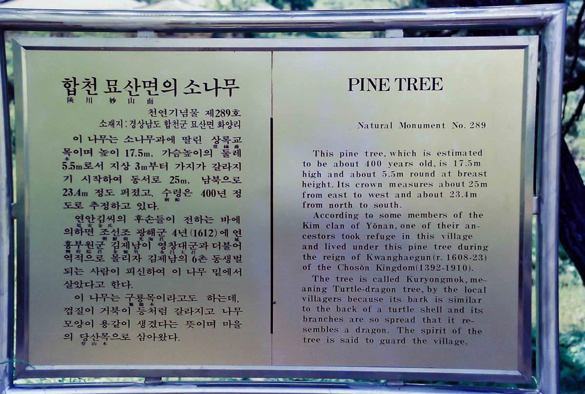 안내문