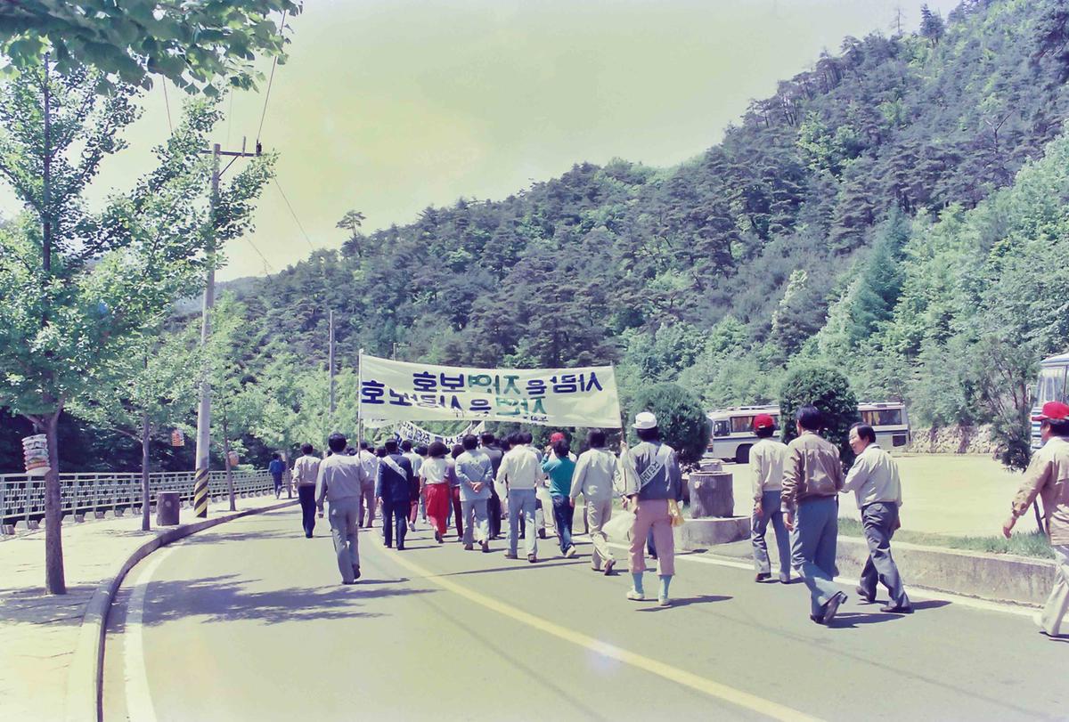 전국일제 자연정화 활동실시