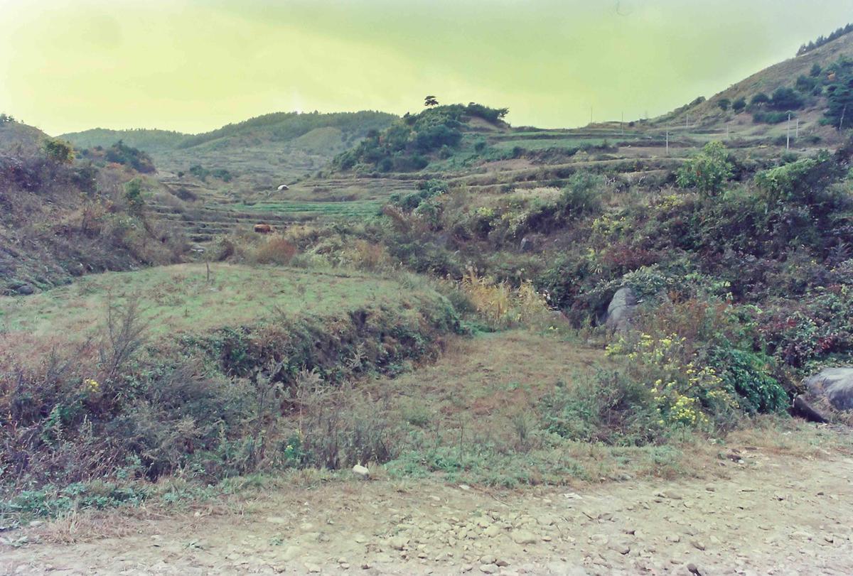 풍경