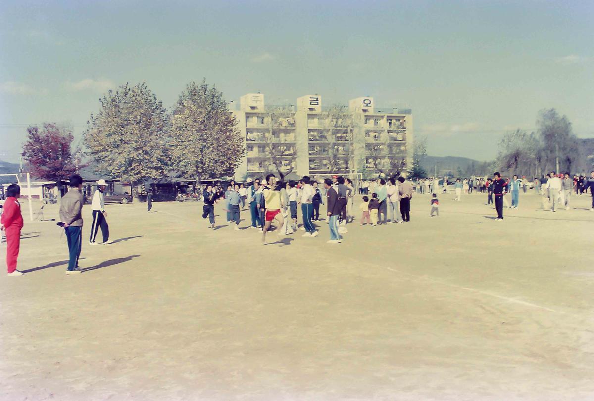 합천군청 직장체육대회