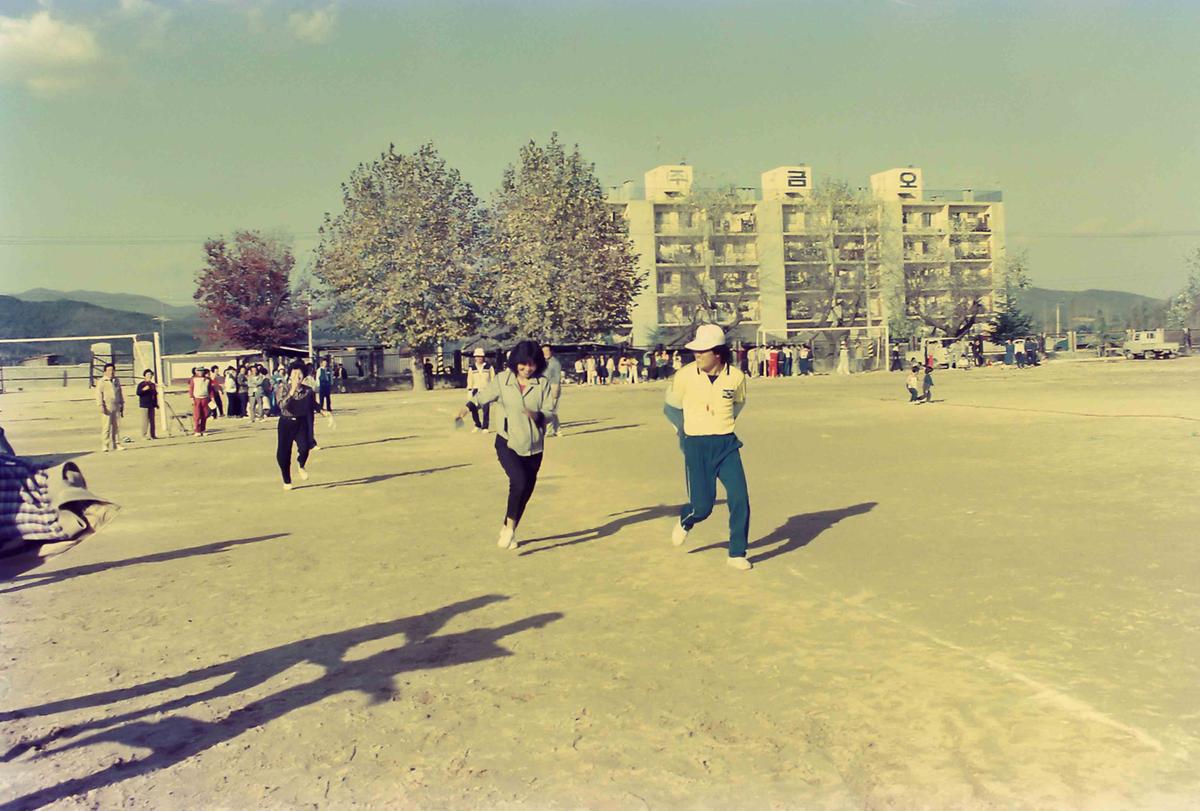 합천군청직장 제육대회