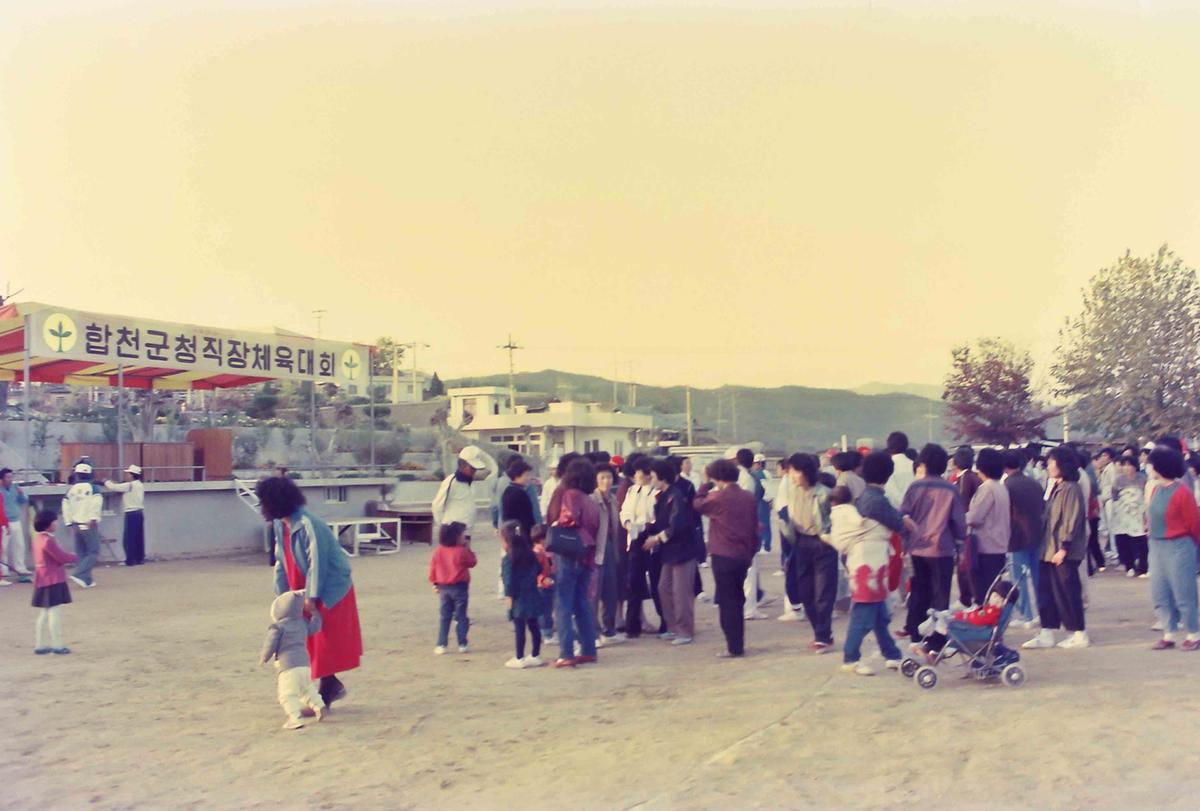 합천군청직장 제육대회