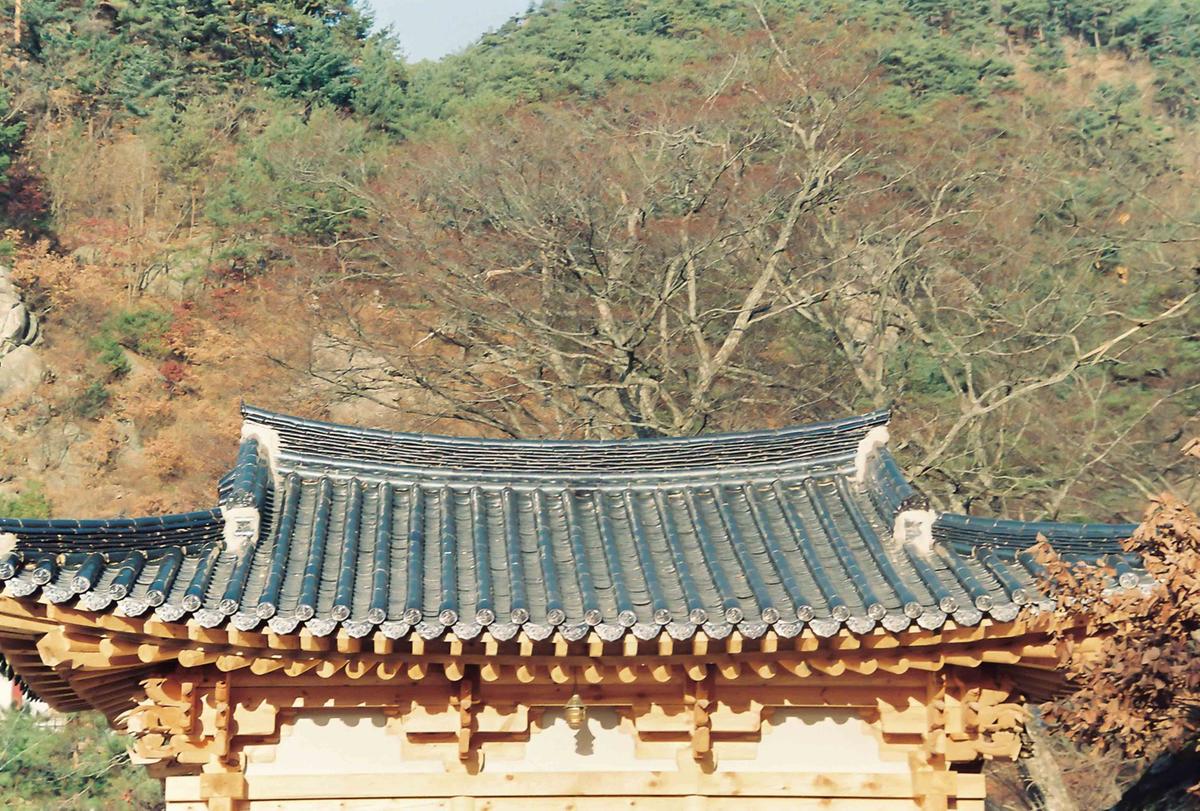 유적