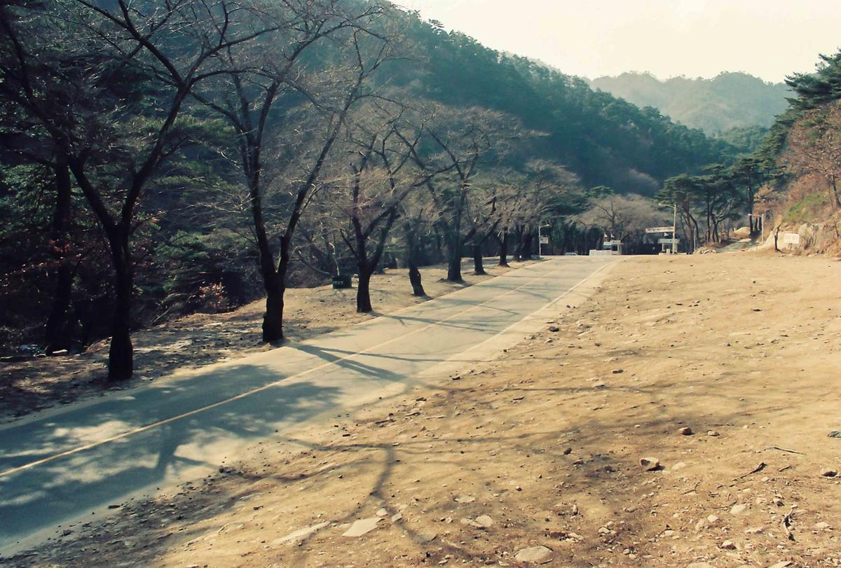 지운당 성우 대종사 사리 친견법회