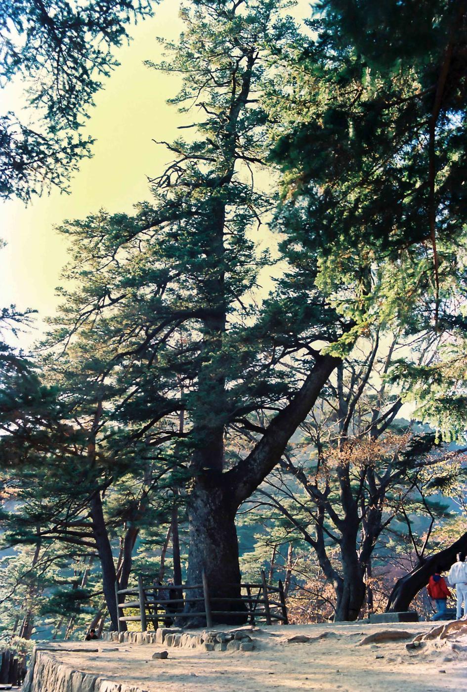 풍경