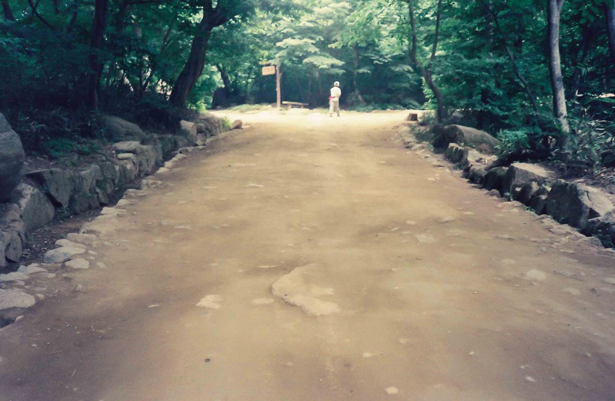 금선암