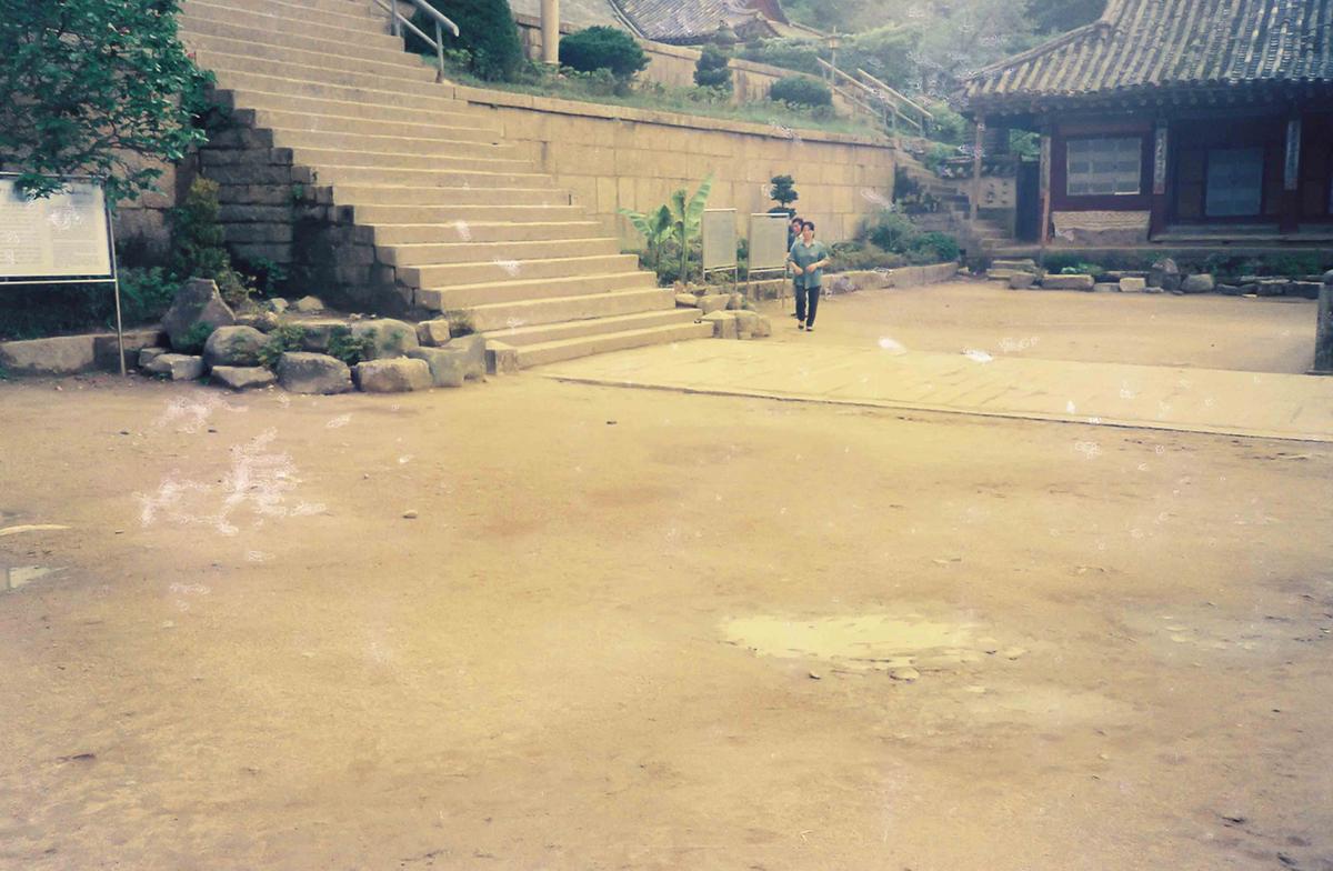 금선암