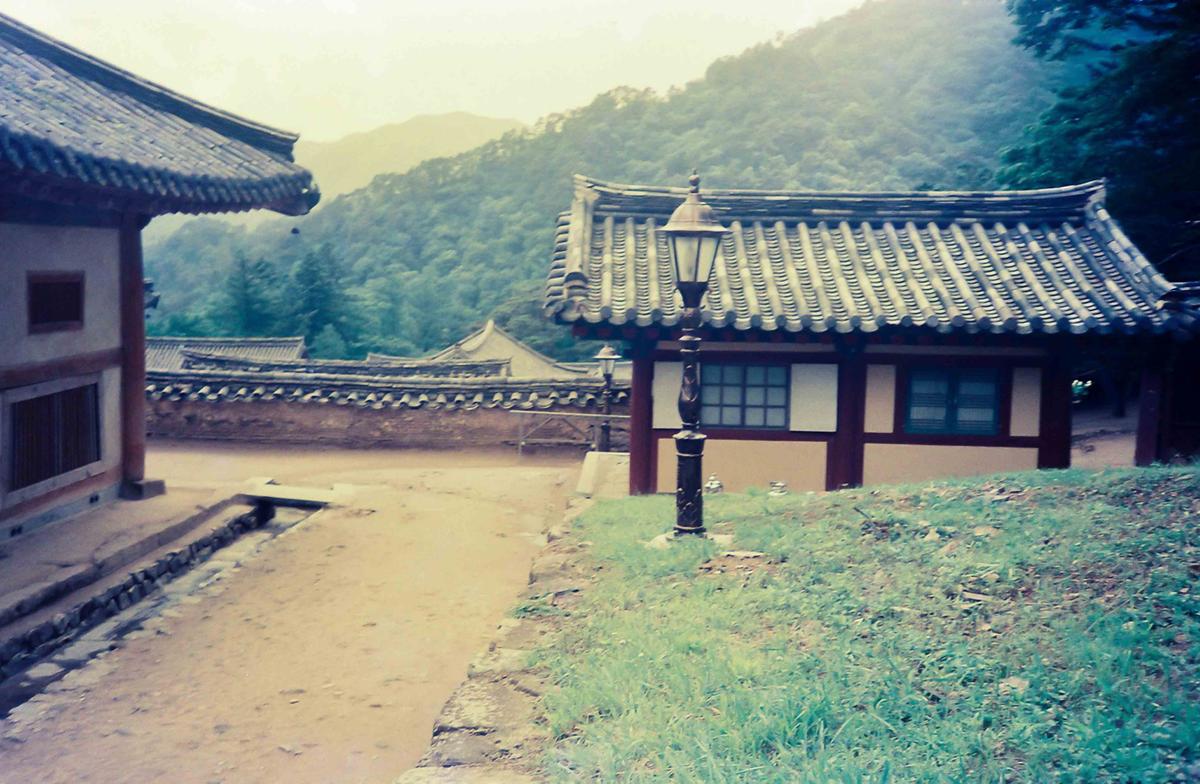 금선암