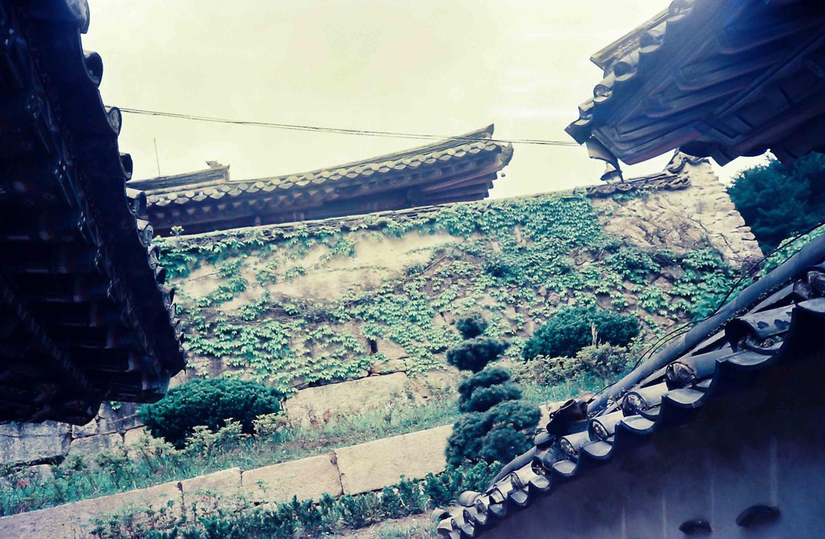 금선암