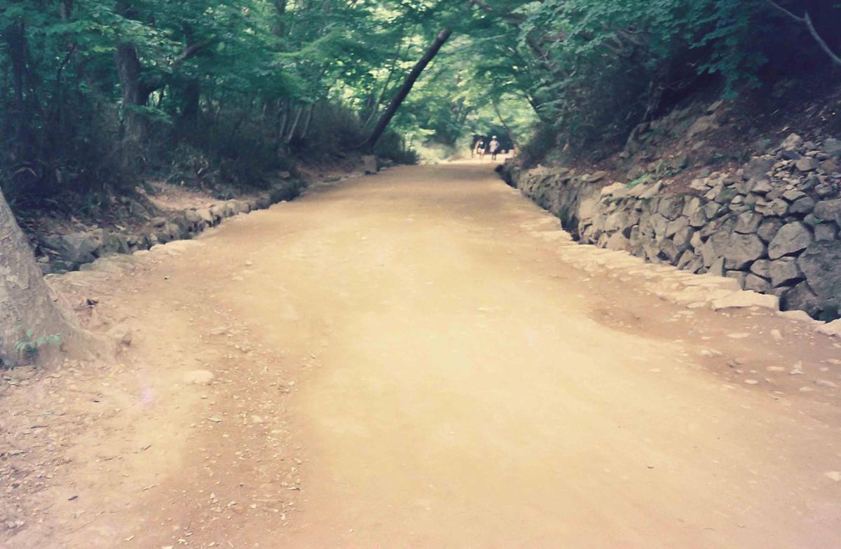 금선암