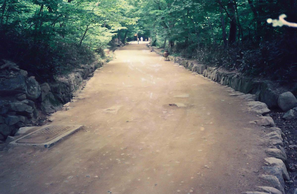 금선암