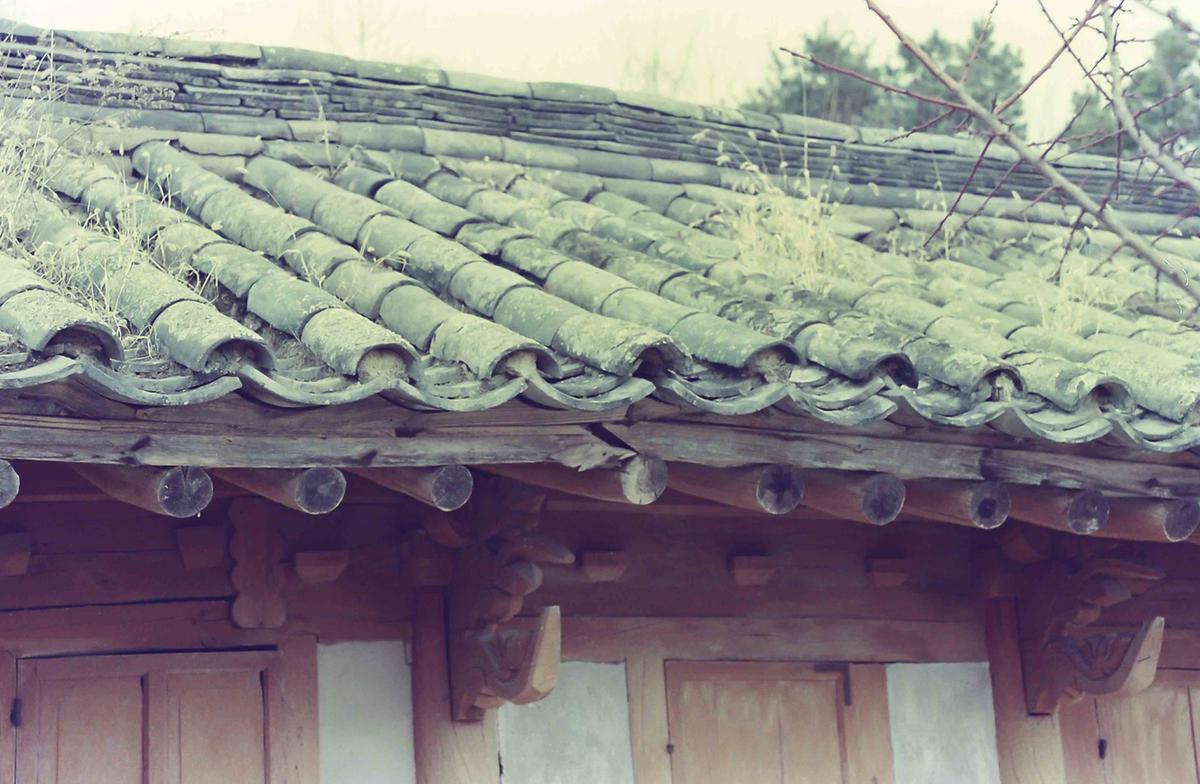 풍경