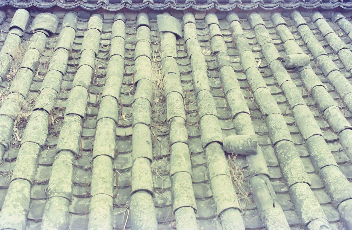 풍경