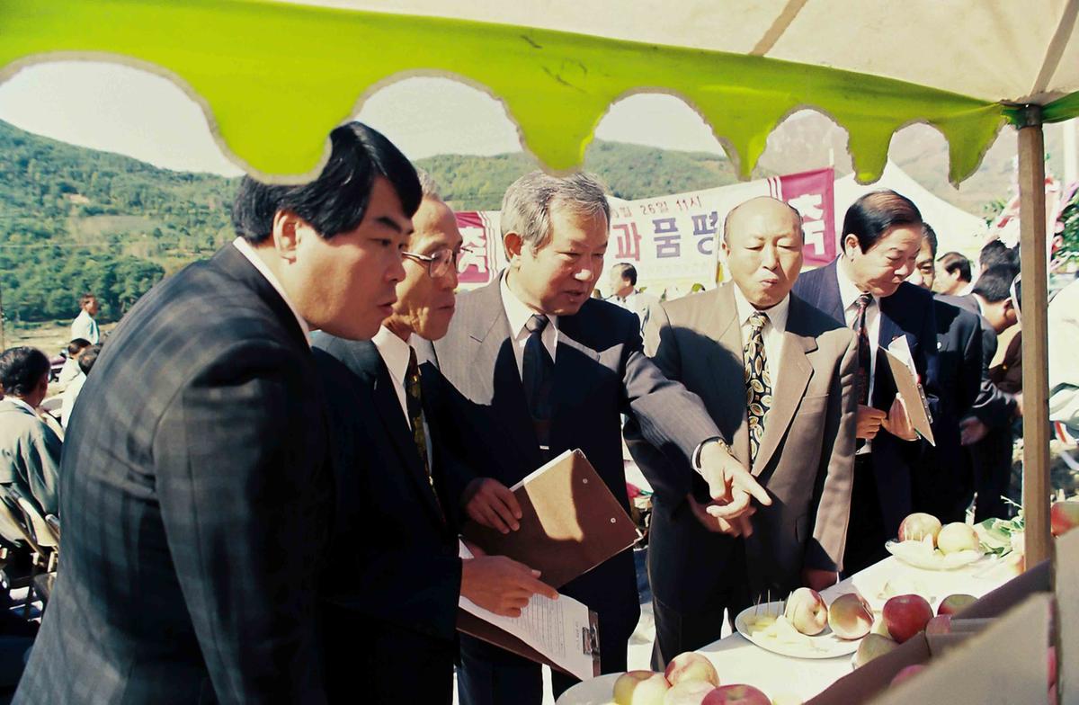 가야 사과 품평회