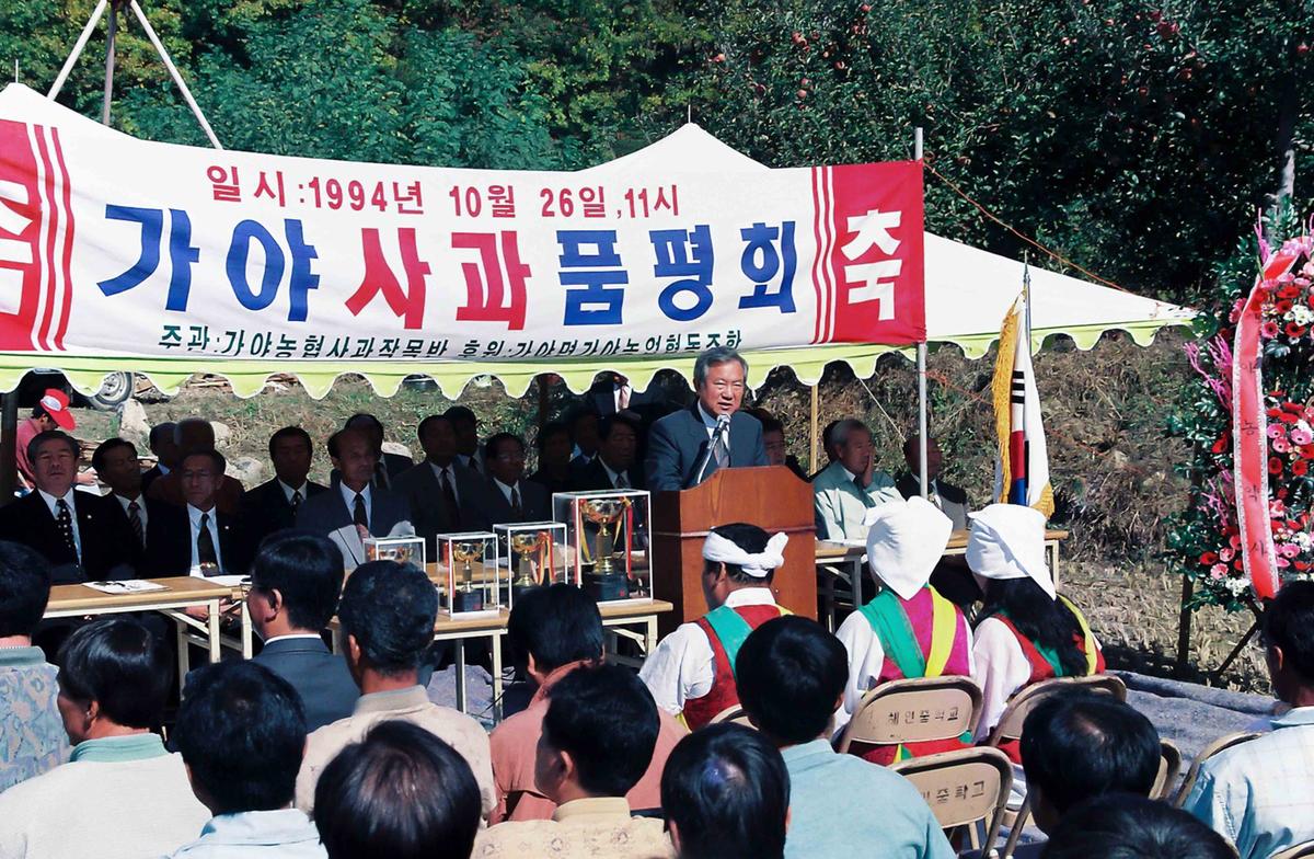 가야 사과 품평회