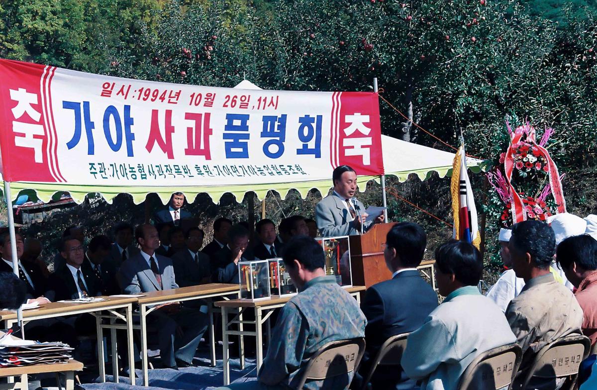 가야 사과 품평회