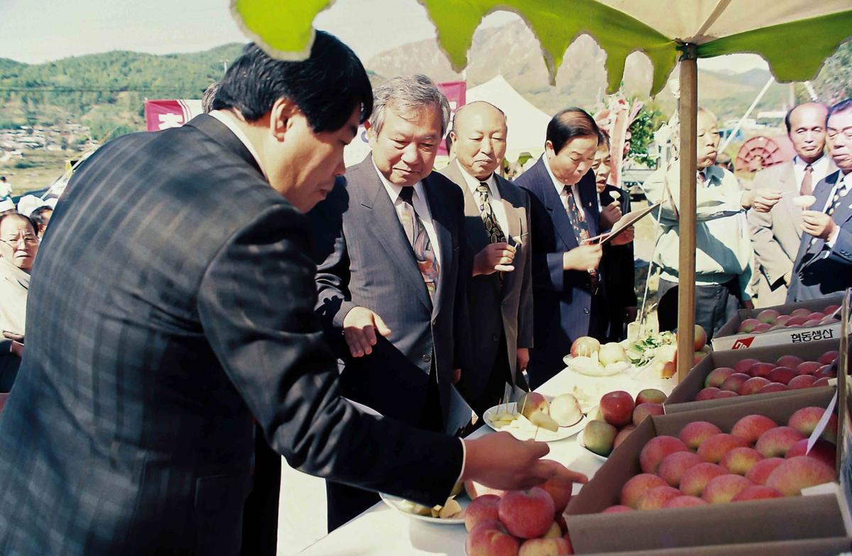 가야 사과 품평회