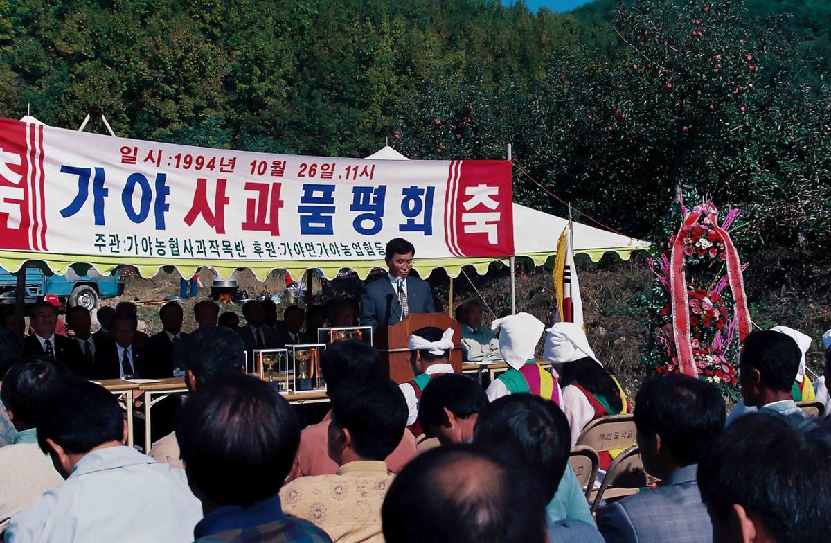 가야 사과 품평회