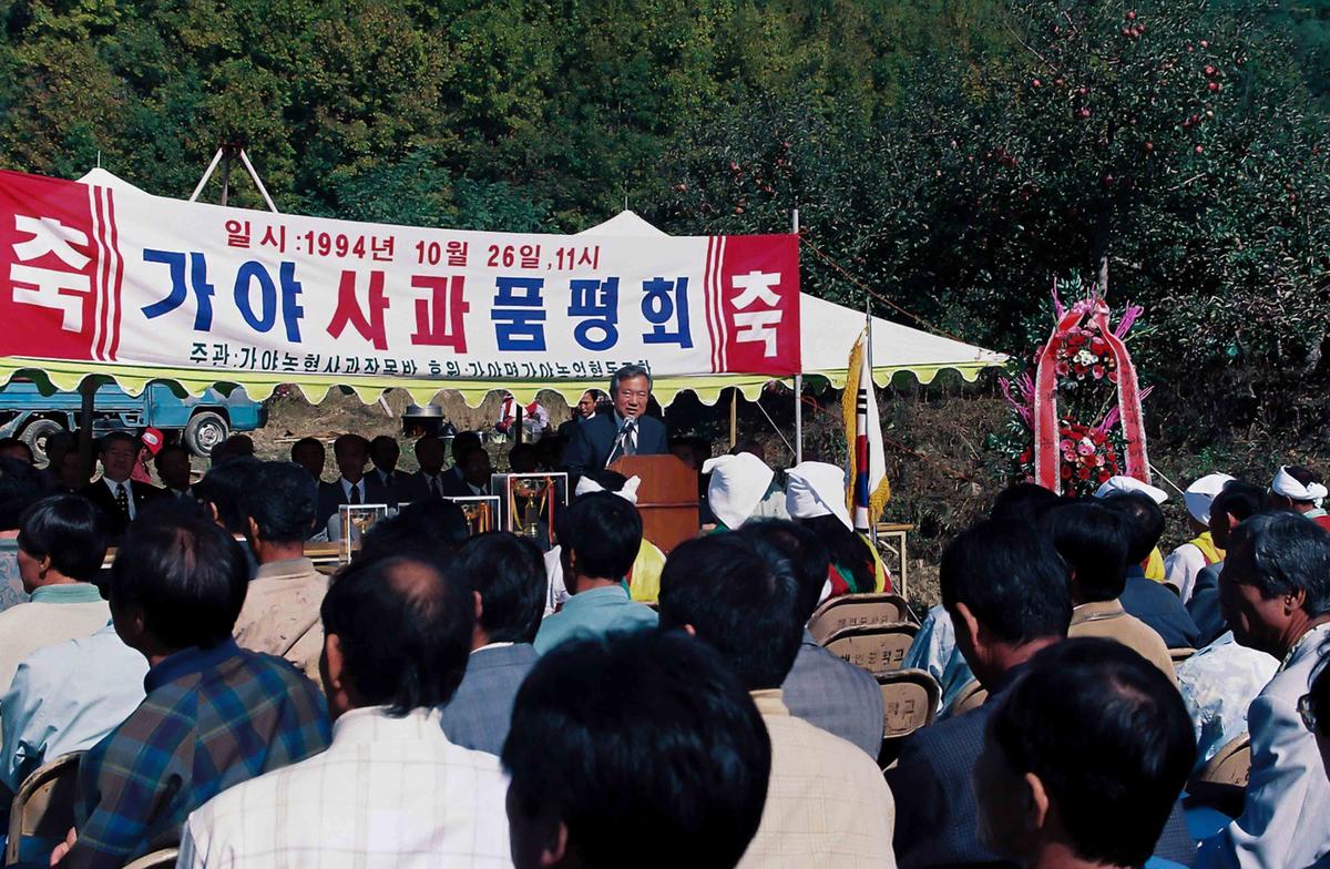 가야 사과 품평회