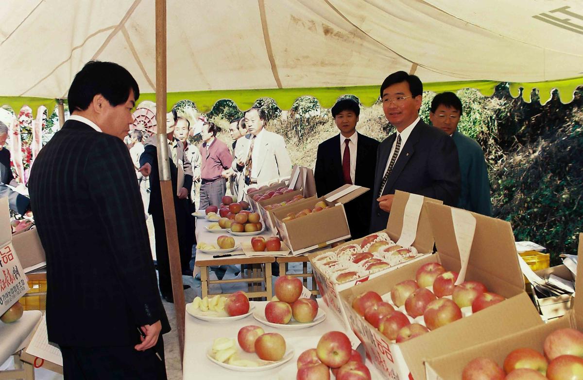 가야 사과 품평회