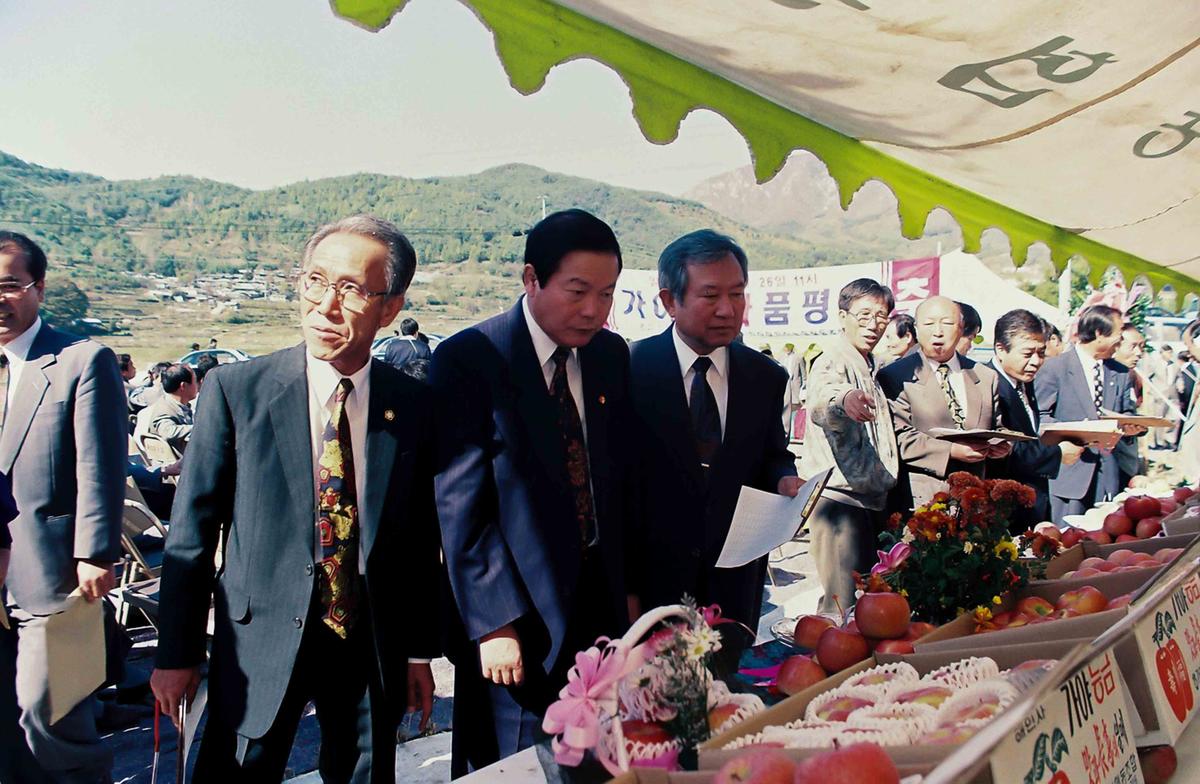 가야 사과 품평회