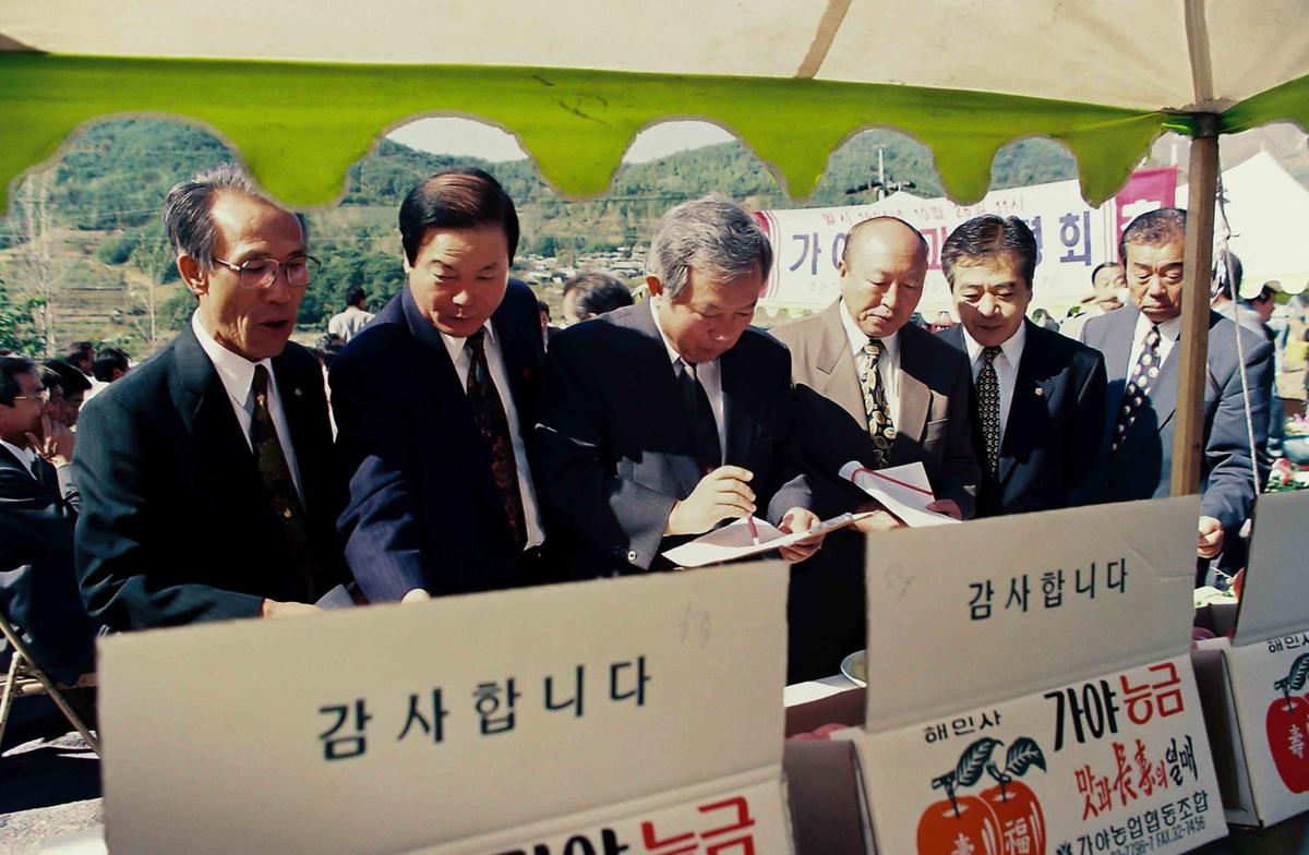 가야 사과 품평회