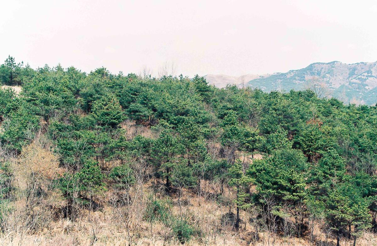 풍경