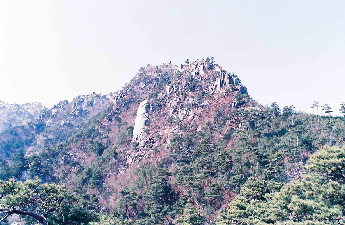 풍경