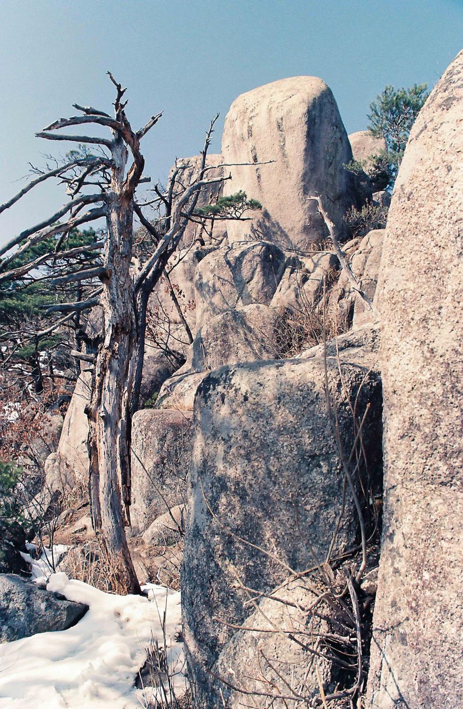 풍경