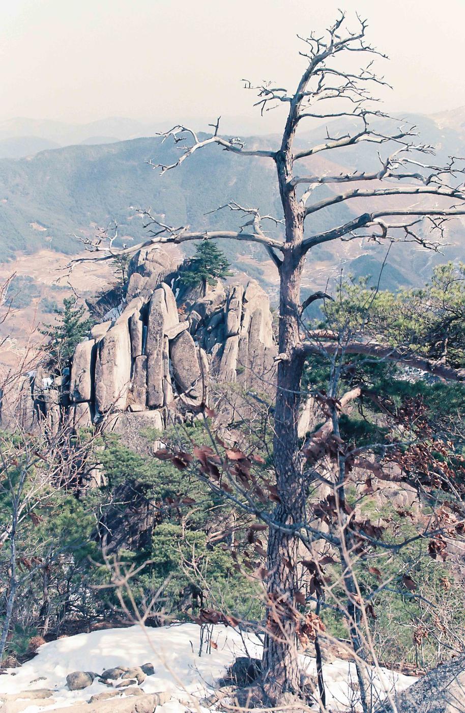 풍경