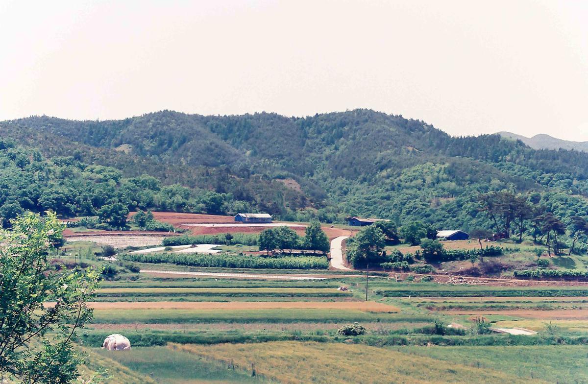 풍경
