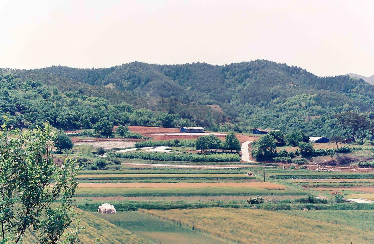풍경