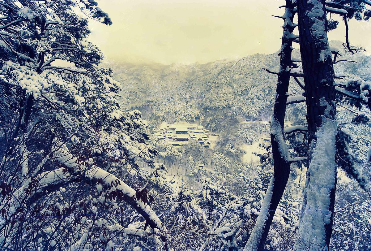 설경