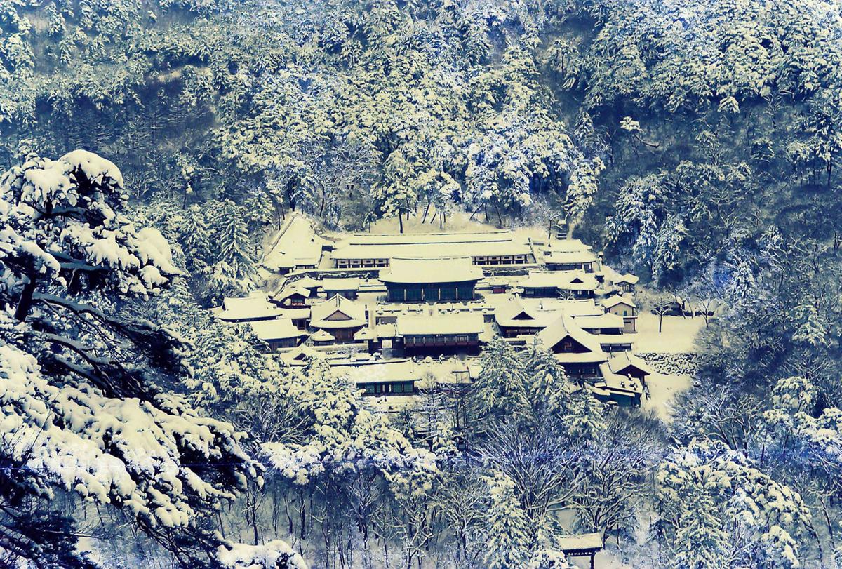 설경