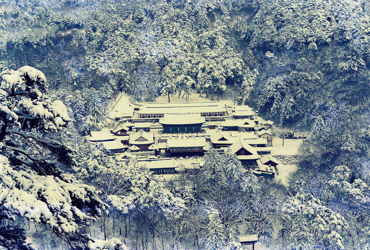 설경