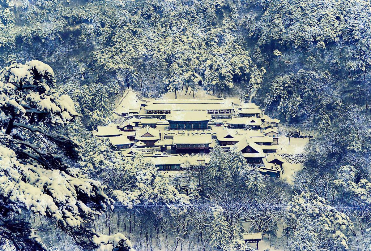 설경
