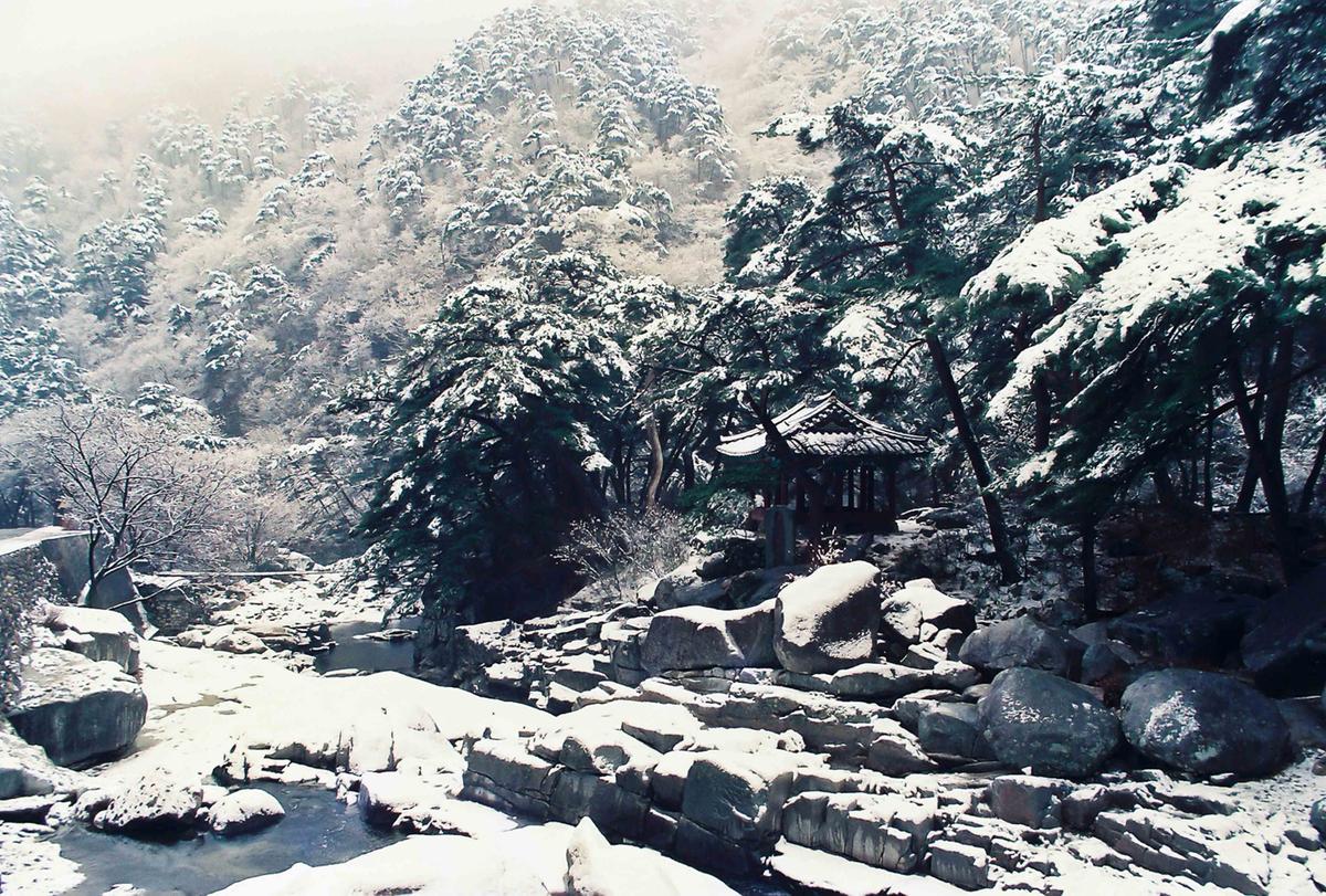 설경
