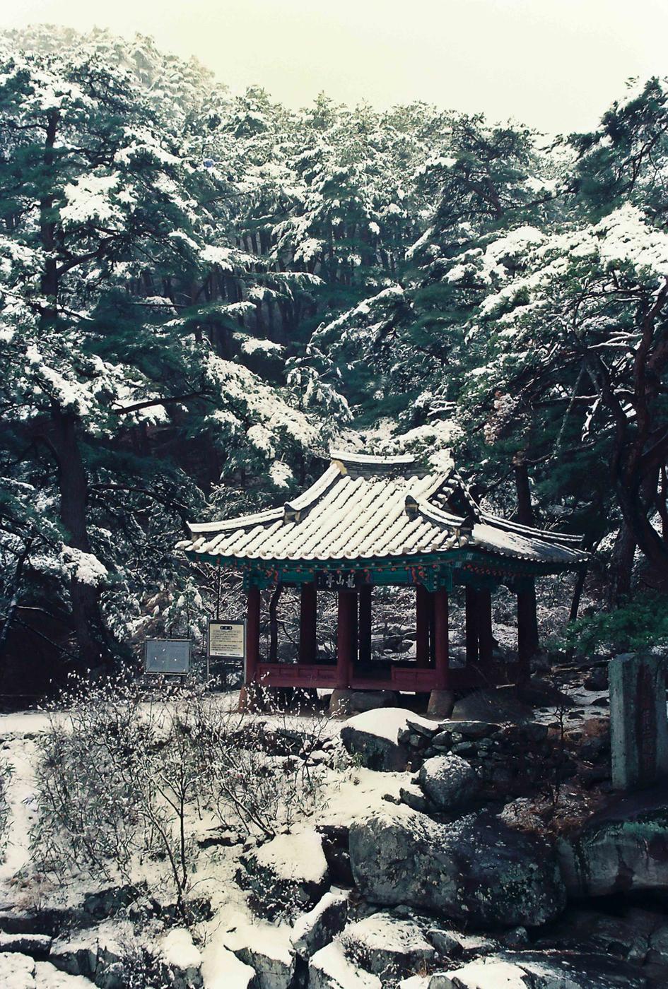 설경