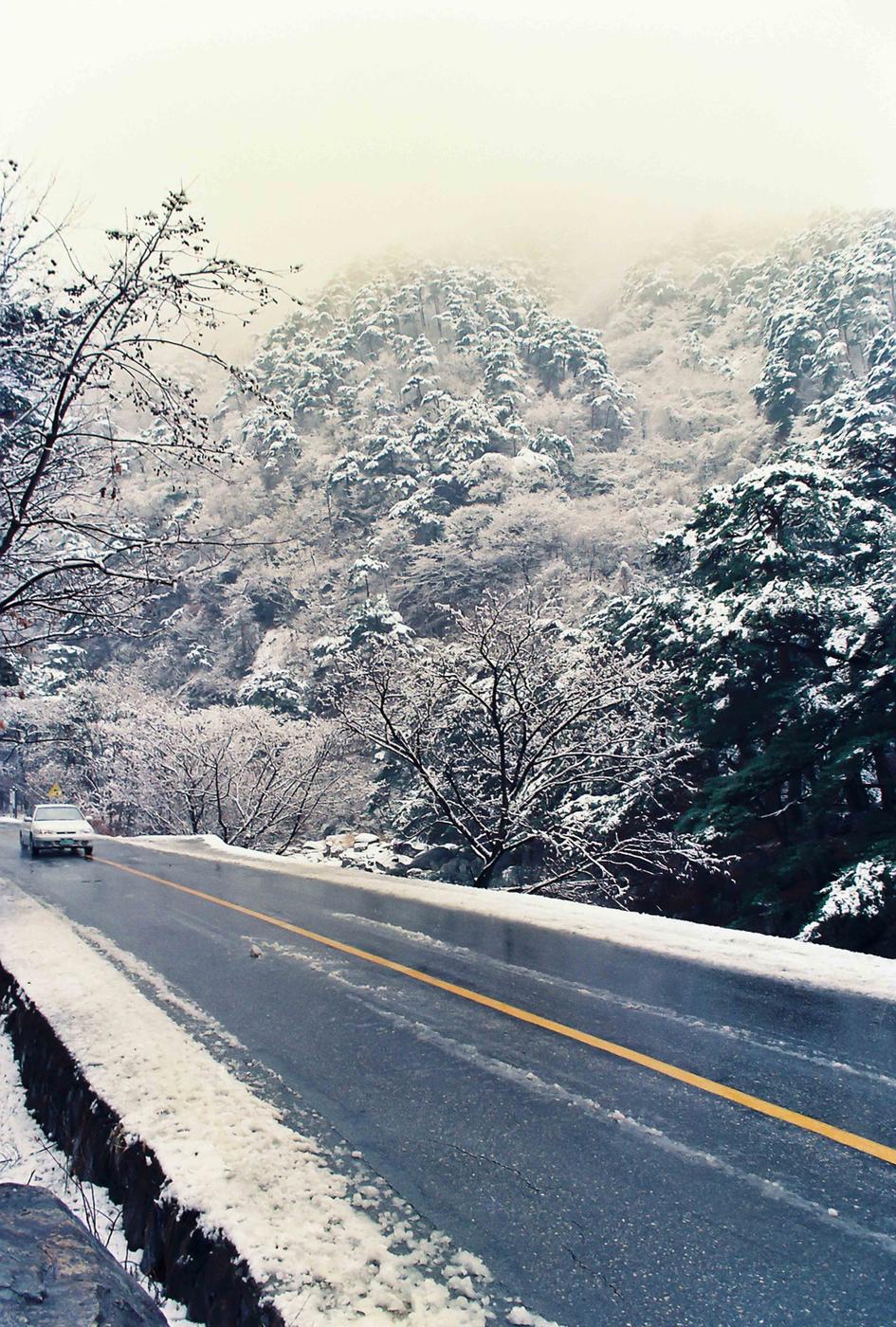 설경