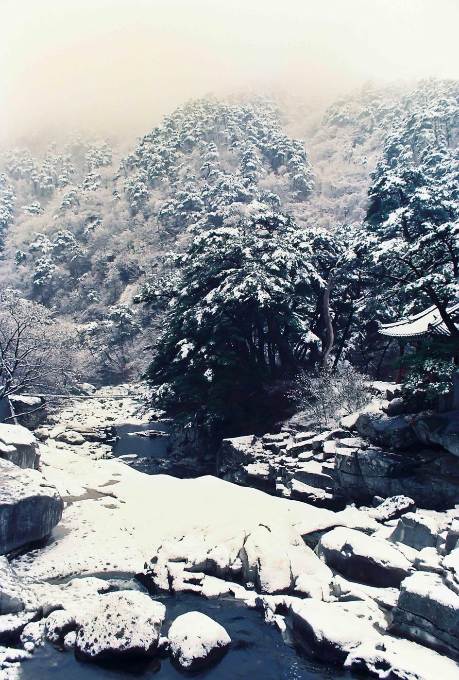 설경
