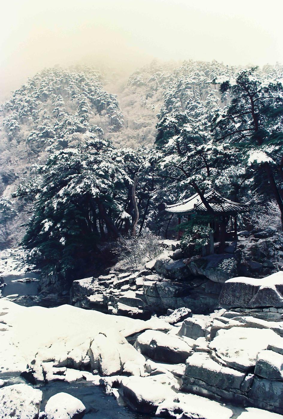 설경