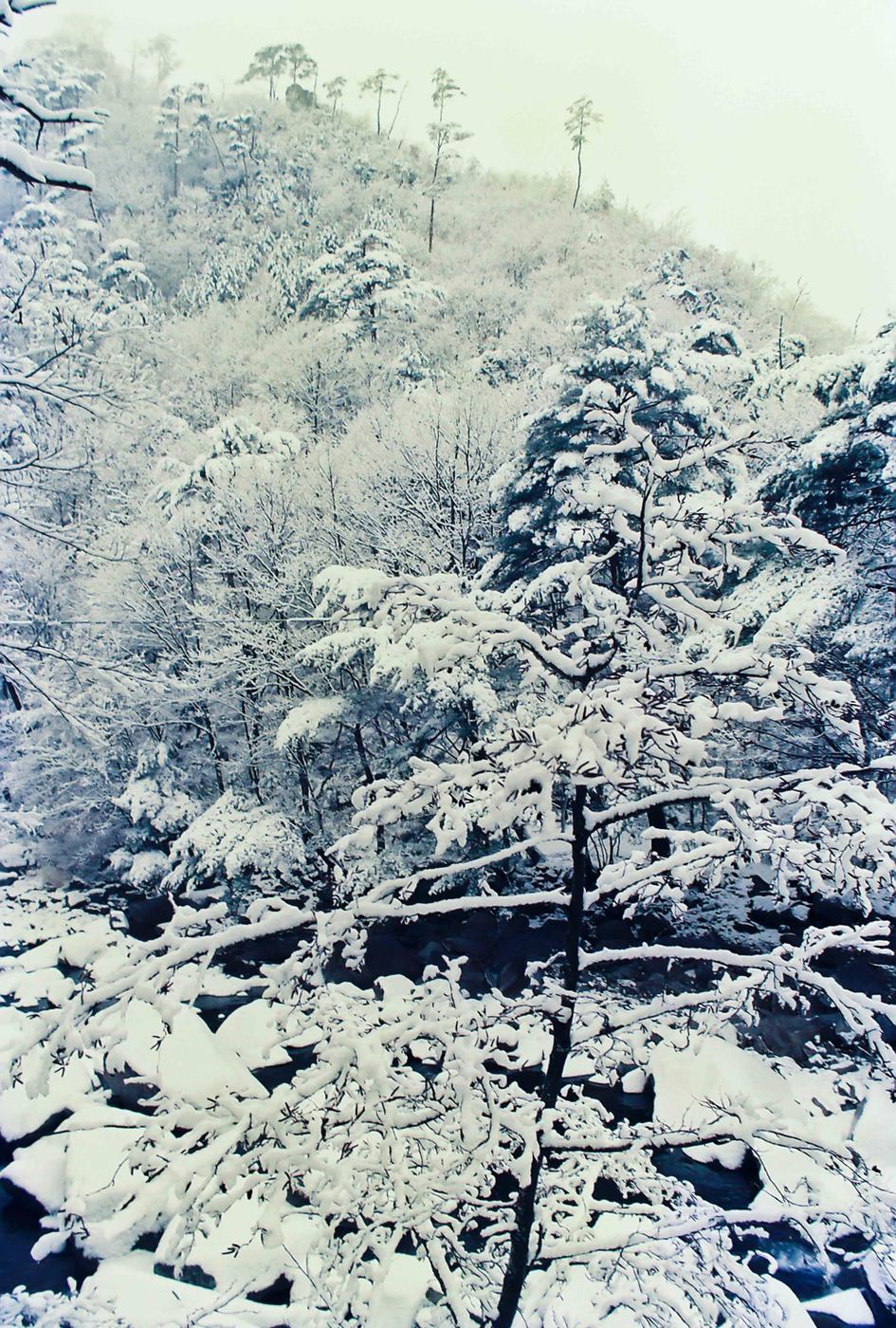 설경