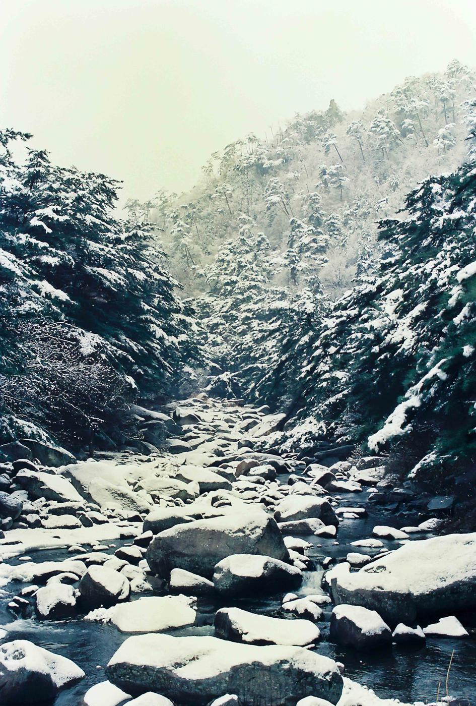 설경